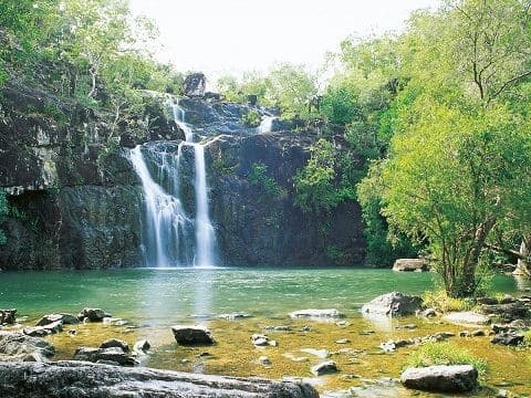 گردشگری استرالیا/بریزبن (شهر ﮔﻮﻟﺪﻛﻮﺳﺖ Gold Coast)...ایالت کوئینزلند/ آبشارهای نهر سرو ( Cedar Creek Falls   )
