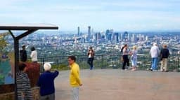 گردشگری استرالیا/بریزبن ...ایالت کوئینزلند/کوه کوتا (Mount Coot-tha)