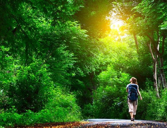 محققان استرالیا... "پیاده‌روی در فضای سبز" راهکار مهم مقابله با استرس و فشار خون بالا