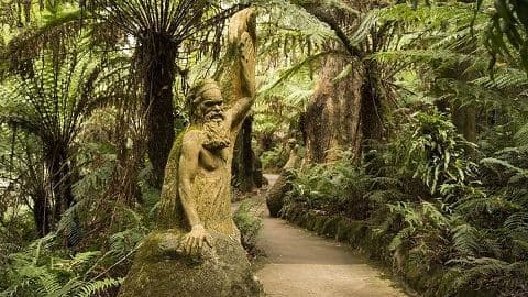 گردشگری استرالیا/ملبورن...ایالت ویکتوریا / پناهگاه ویلیام ریکتس ( William Ricketts Sanctuary)