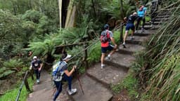  گردشگری استرالیا/ملبورن...ایالت ویکتوریا / هزار پله ( Kokoda Memorial Walk -1000 Steps)