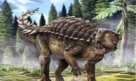 حل معمای فسیل یک دایناسور در استرالیا