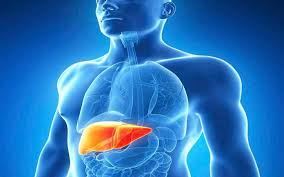 بحث پزشکی این هفته :هپاتیت بی ، سی    Hepatitis...B , C