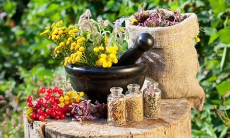  نابودی سلول های سرطانی با روش طب سنتی توسط محققان استرالیا