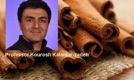 محققان استرالیایی میگویند : دارچین سلامت سیستم گوارش را بهبود می بخشد