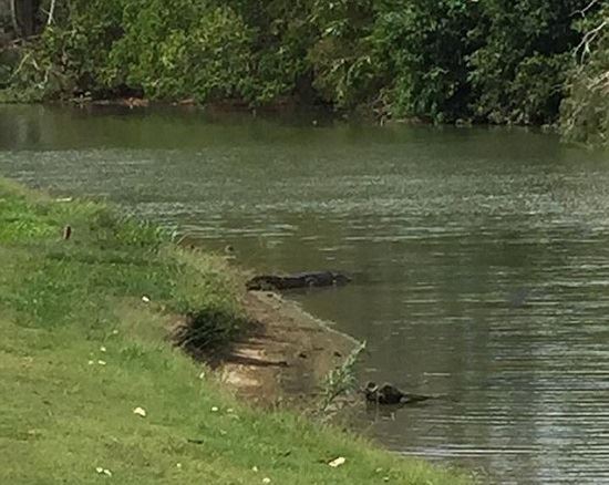 media.news.imagealternatetextformat.details