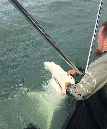 media.news.imagealternatetextformat.details