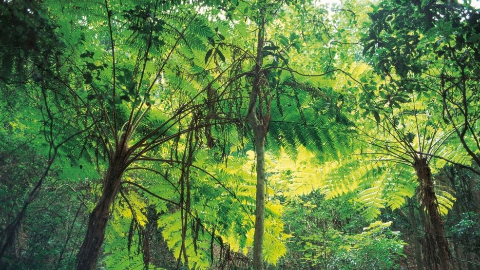 media.news.imagealternatetextformat.details