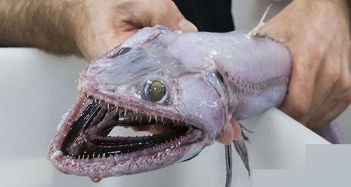 media.news.imagealternatetextformat.details