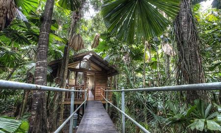 گردشگری استرالیا/بریزبن...ایالت کوئینزلند/ اقامتگاه درختی ( The Daintree Eco )