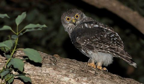 media.news.imagealternatetextformat.details