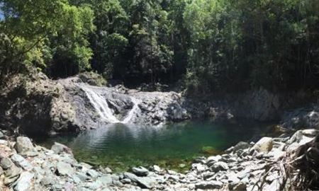 گردشگری استرالیا/بریزبن (شهر Sunshine Coast)...ایالت کوئینزلند/ پارک ملی ( Conondale, Queensland )