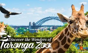 گردشگری استرالیا/سیدنی ...ایالت نیو ساوت ولز/ باغ وحش تارونگا ( Taronga Zoo )/گوینده...عاطفه صفری 
