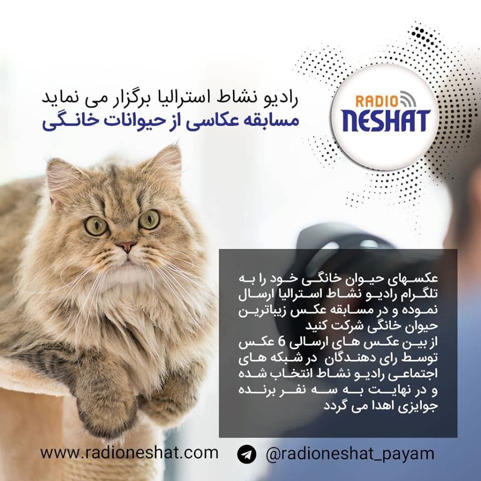 media.news.imagelinktitleformat.details media.news.imagealternatetextformat.details