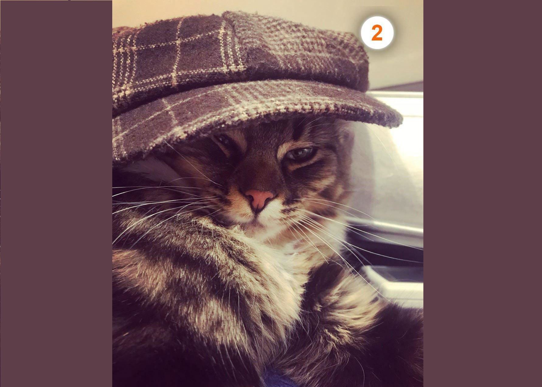 media.news.imagealternatetextformat.details