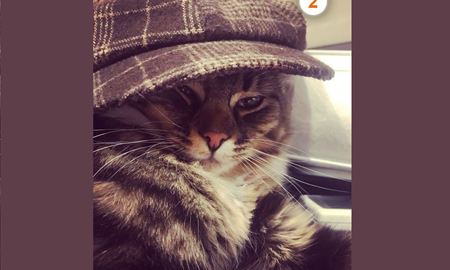 اعلام نتیجه سری سوم "مسابقه عکاسی از حیوانات خانگی"