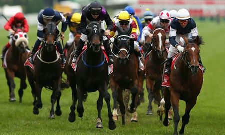 رویدادهای استرالیا / ملبورن کاپ ( MELBOURNE CUP) 