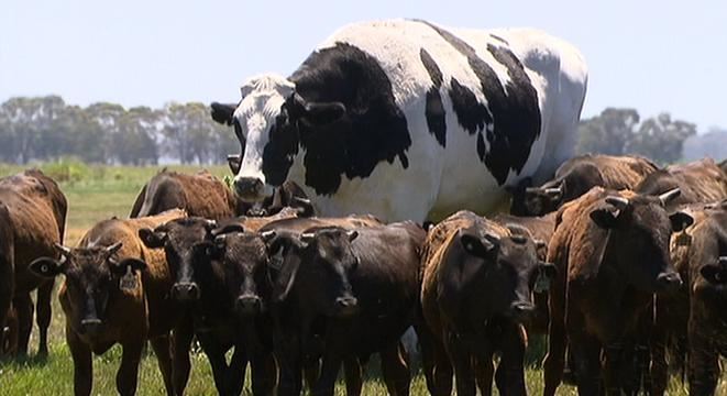 media.news.imagealternatetextformat.details