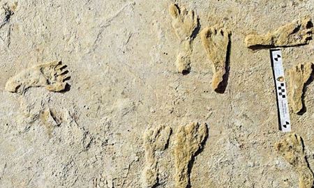 کشف ردپاهای 23 هزار ساله انسان‌های اولیه در آمریکای شمالی