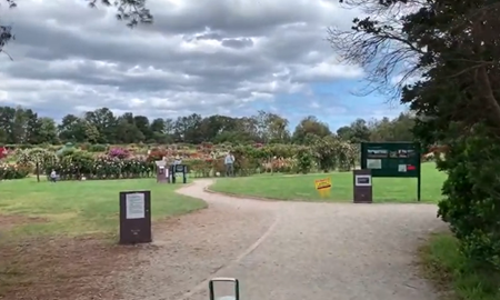 گردشگری استرالیا / ملبورن ..."ماز یا  مسيرهاي مارپيچي تو در تو " Ashcombe Maze & Lavender Gardens