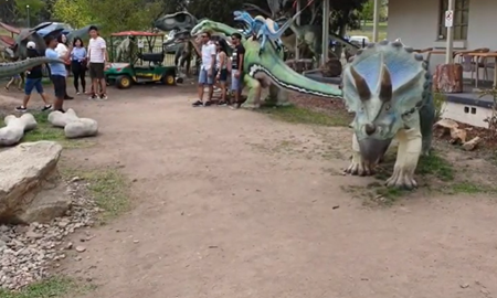 گردشگری استرالیا / کانبرا ...پایتخت/ موزه ملی دایناسور ( National Dinosaur Museum )