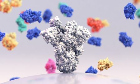 کشف آنتی‌بادی که گونه دلتای ویروس کرونا را هدف قرار می‌دهد
