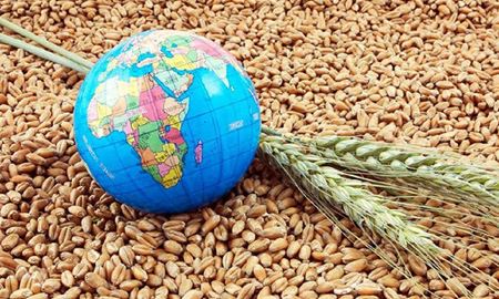 روز جهانی غذا و کاهش بی‌سابقه و فاجعه‌بار امنیت غذایی