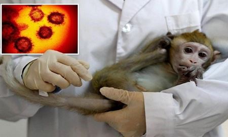 اعلام وضعیت فوق العاده در خصوص شیوع آبله میمون