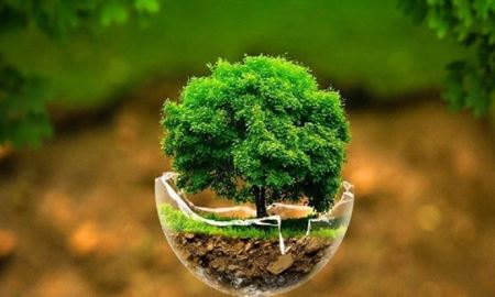 سازمان ملل «زیستن در محیط زیست پاک» را حق بشر دانست
