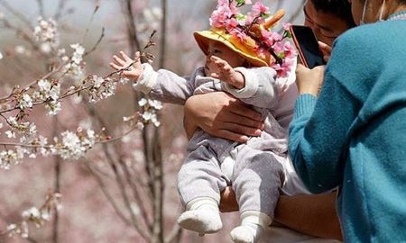 شکست سیاست‌های فرزندآوری در چین و ادامه روند نزولی جمعیت