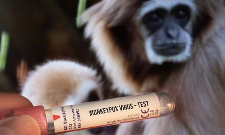 خرید واکسن‌های آبله میمون بیشتر توسط دولت فدرال استرالیا