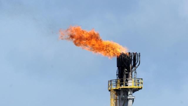 media.news.imagealternatetextformat.details