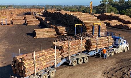 چین تحریم واردات الوار از استرالیا را لغو کرد