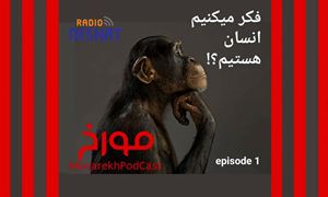 مورخ با صدای احمد هاشمی/ فکر میکنیم انسان هستیم ؟ ! / تاریخ بیش از آنکه علم باشد یک هنر است هنر کنار هم گذاشتن شواهد