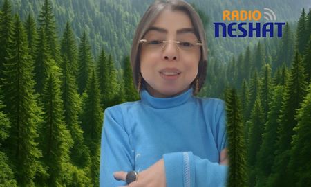 از دل جنگل‌های گیلان تا صحنه‌های تئاتر و خبرنگاری / داستان الهام‌بخش ملیحه محمدپور؛ زنی که «نتوانستن» را شکست داد