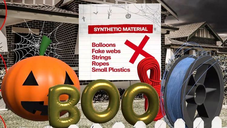 media.news.imagelinktitleformat.details media.news.imagealternatetextformat.details