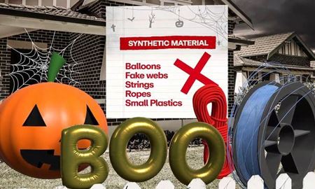 برگزاری جشن هالووین در سیدنی با رویکرد زیستمحیطی