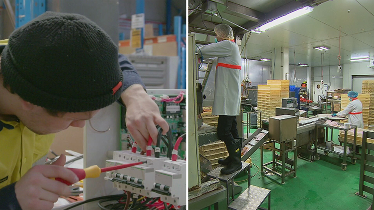 media.news.imagelinktitleformat.details media.news.imagealternatetextformat.details