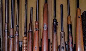 media.news.imagelinktitleformat.details media.news.imagealternatetextformat.details