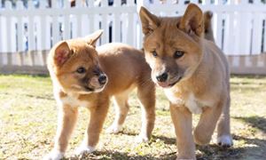 media.news.imagealternatetextformat.details