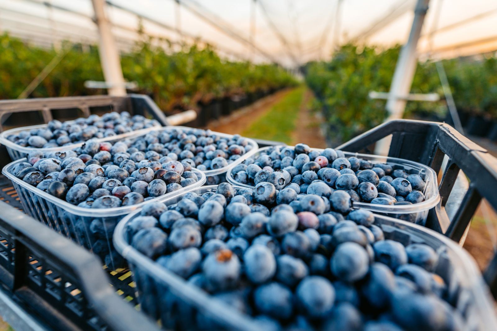 media.news.imagealternatetextformat.details