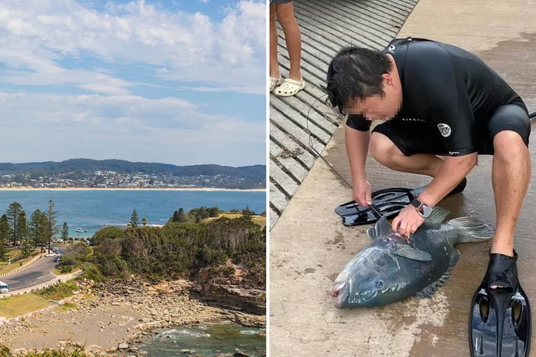 media.news.imagealternatetextformat.details