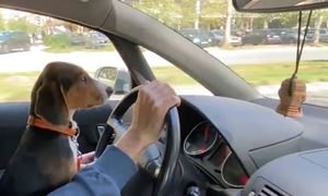 media.news.imagealternatetextformat.details