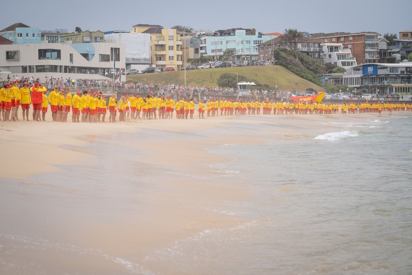 media.news.imagealternatetextformat.details