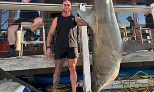 media.news.imagealternatetextformat.details