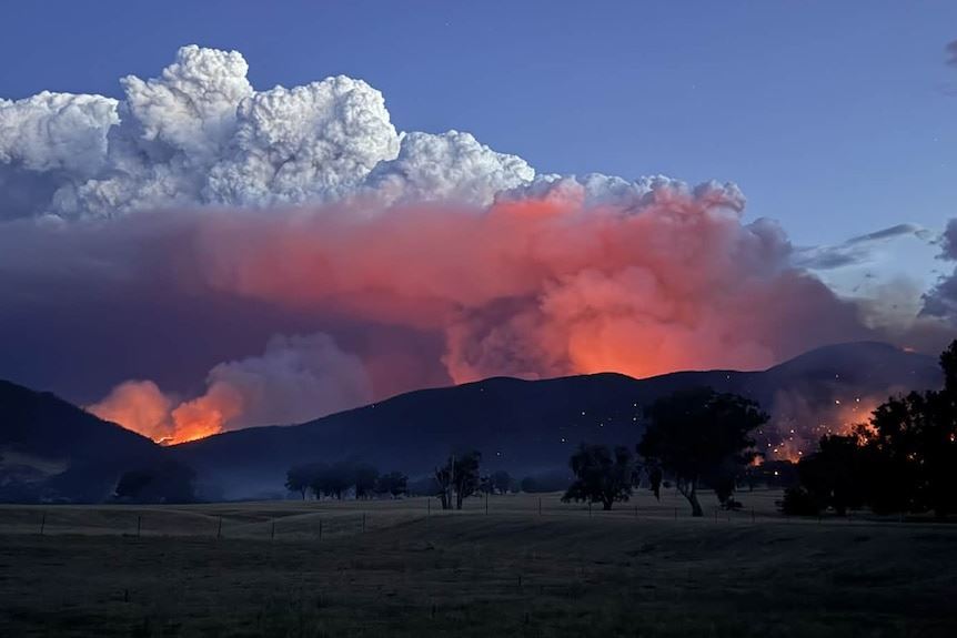 media.news.imagealternatetextformat.details