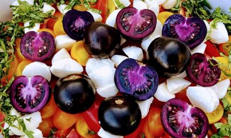 صدور مجوز فروش گوجه‌فرنگی بنفش اصلاح‌شده ژنتیکی در استرالیا